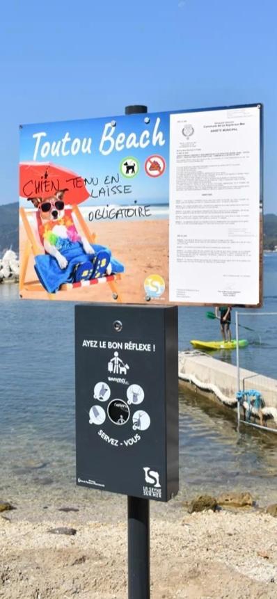 Studio Le Monroe Les Pieds Dans L'Eau 10 M De La Mer 滨海拉塞讷 外观 照片