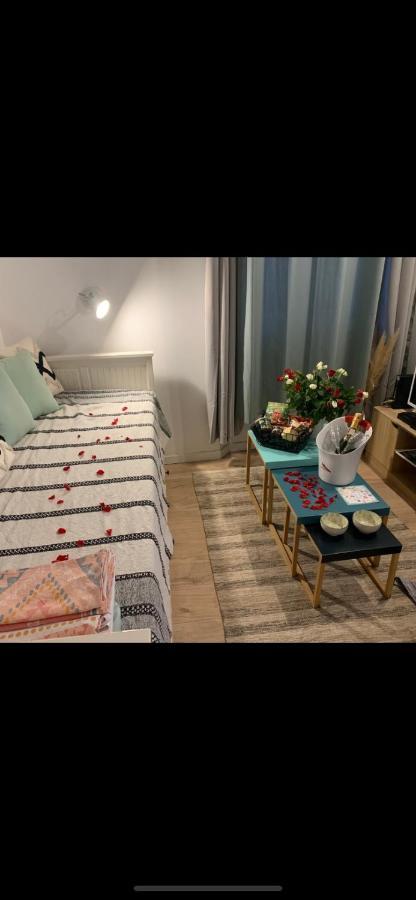 Studio Le Monroe Les Pieds Dans L'Eau 10 M De La Mer 滨海拉塞讷 外观 照片